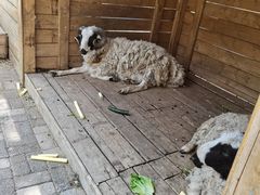 -长白岛森林公园