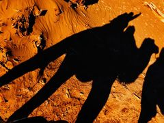 -沙漠世界地质公园