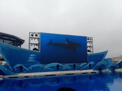 -上海海昌海洋公园