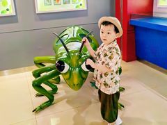 -上海昆虫博物馆