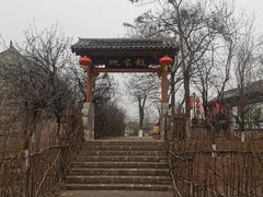 -大槐树寻根祭祖园