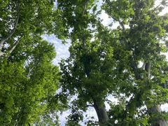 -自由港KTV(王子公主金平店)