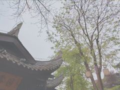 -重庆园博园