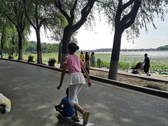 -丁香湖公园