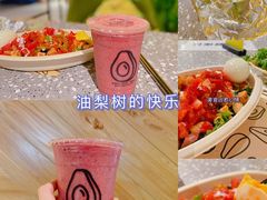 -油梨树AVOCADO TREE(嘉里中心店)