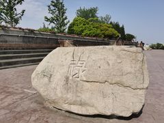 -上海滨江森林公园