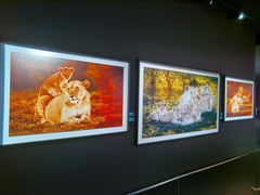 -罗红摄影艺术馆