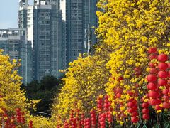 -广州白天鹅宾馆