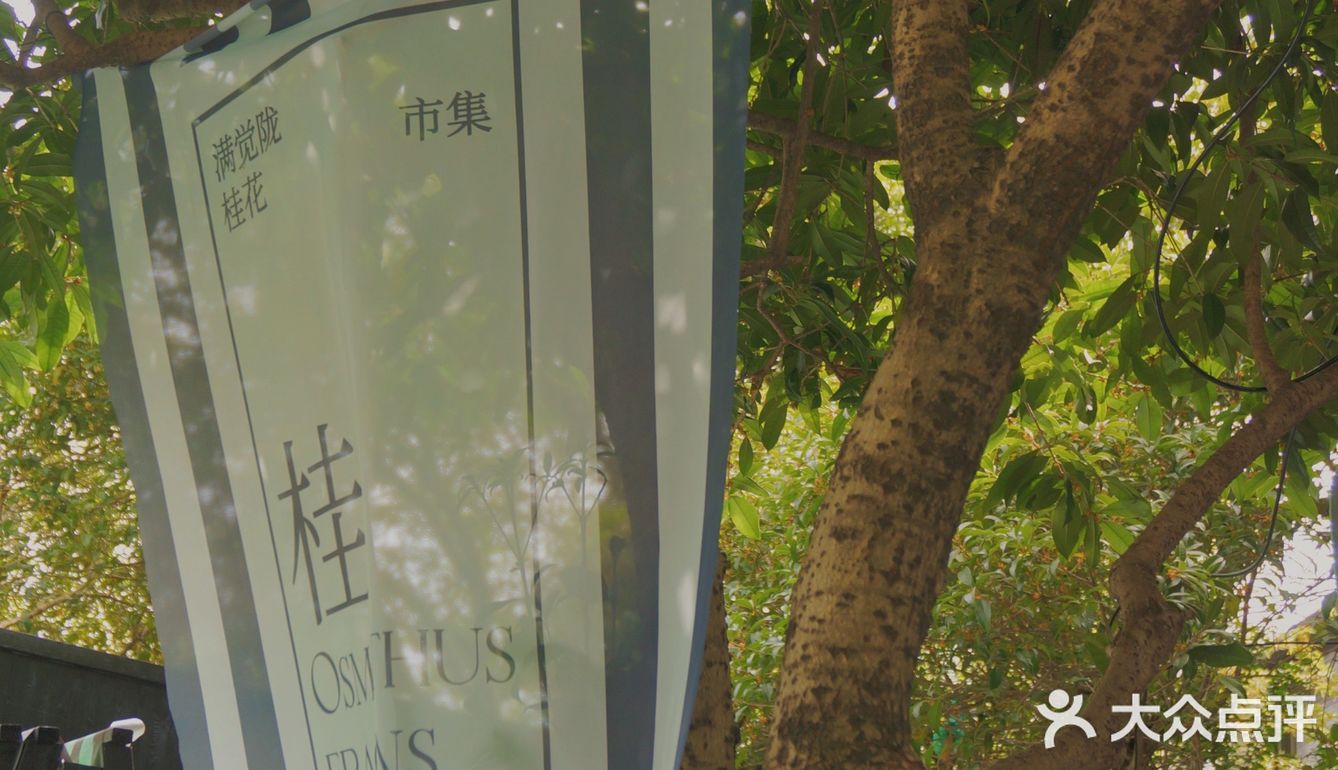 杭州探店｜我去了满觉陇上最香的咖啡店了✨