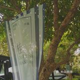 杭州探店｜我去了满觉陇上最香的咖啡店了✨