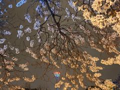 -红星桥(地铁站)