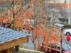 -田园印象·成都土菜院子(华阳店)