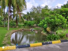 -三亚珠江南田温泉度假区