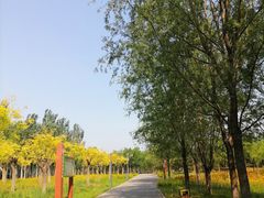 -东郊湿地公园