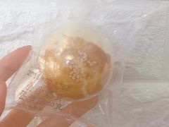 -真真老老(月河花鸟市场店)