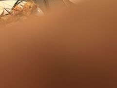 -索菲特西湖大酒店·香榭丽全日候餐厅(南山路店)