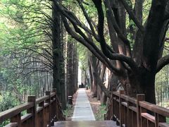 -同里国家湿地公园