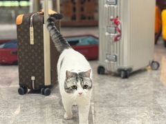 -龙森园火锅(琴台路店)