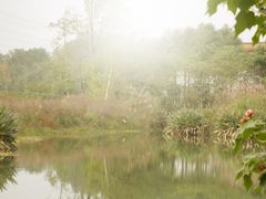 -桤木河湿地公园