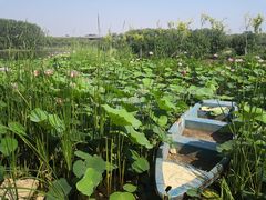 -东郊湿地公园