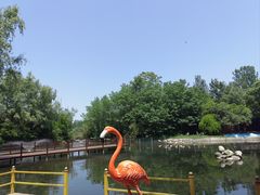 -西安秦岭野生动物园
