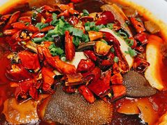 渝信毛血旺-渝信川菜(华盛店)