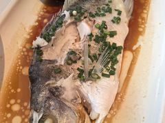 -醉辉皇原味海鲜江南菜(成都大魔方店)