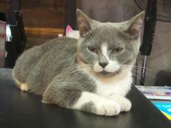 android_upload_pic-MIKAKU(万达广场上海宝山店)