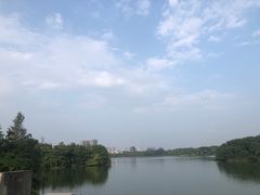 -海珠湖公园