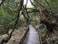 -七仙岭温泉国家森林公园