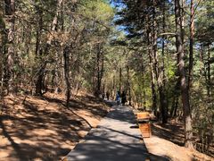 -帽儿山国家森林公园