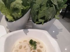 -浩爷羊蝎子火锅(望京店)