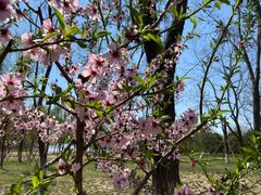 -大兴滨河森林公园