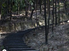 -火炉山森林公园