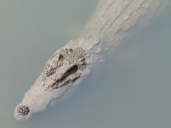 -广州长隆飞鸟乐园