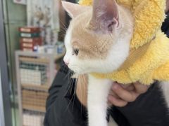 -瑞鹏宠物医院·宠保定点·心脏科·内科(御桥分院)