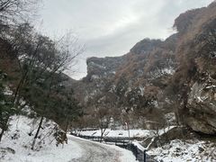 -少华山国家森林公园