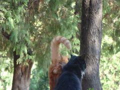 -北京西山国家森林公园