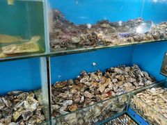 -港畔赶海蒸汽海鲜烧烤自助(仙螺岛店)