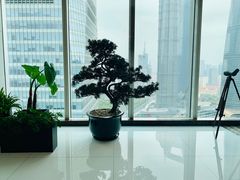 -翡翠36餐厅(浦东香格里拉店)