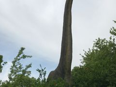 -自然谷恐龙园
