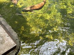 -青青世界