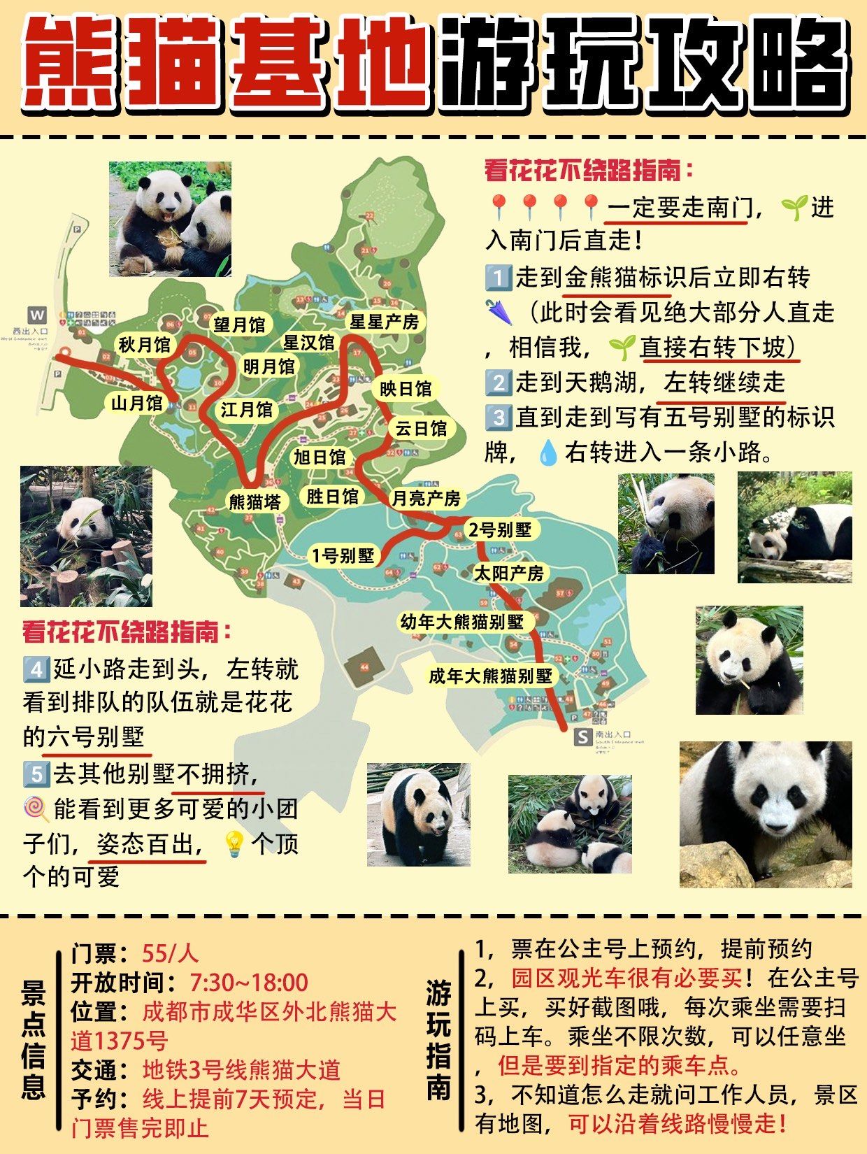 成都大熊猫繁育研究基地 旅游攻略 一定要看

我在园区溜了一整天
