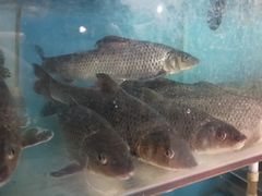 -洞天食府(北大街店)