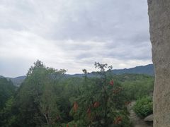 -白水寺森林公园