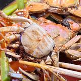 让大闸蟹充盈我的胃