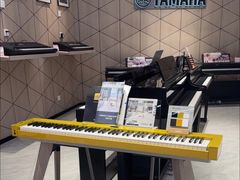 -知音艺术教育培训·钢琴培训·音乐培训(河西金鹰世界校区)