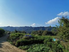 -花溪风景区