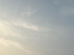 -荔枝公园(福田区)