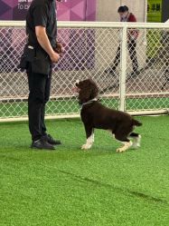 -酷嗒动物文化乐园(cutezoo西溪乐天城店)